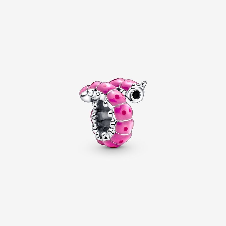 Cute Curled Caterpillar